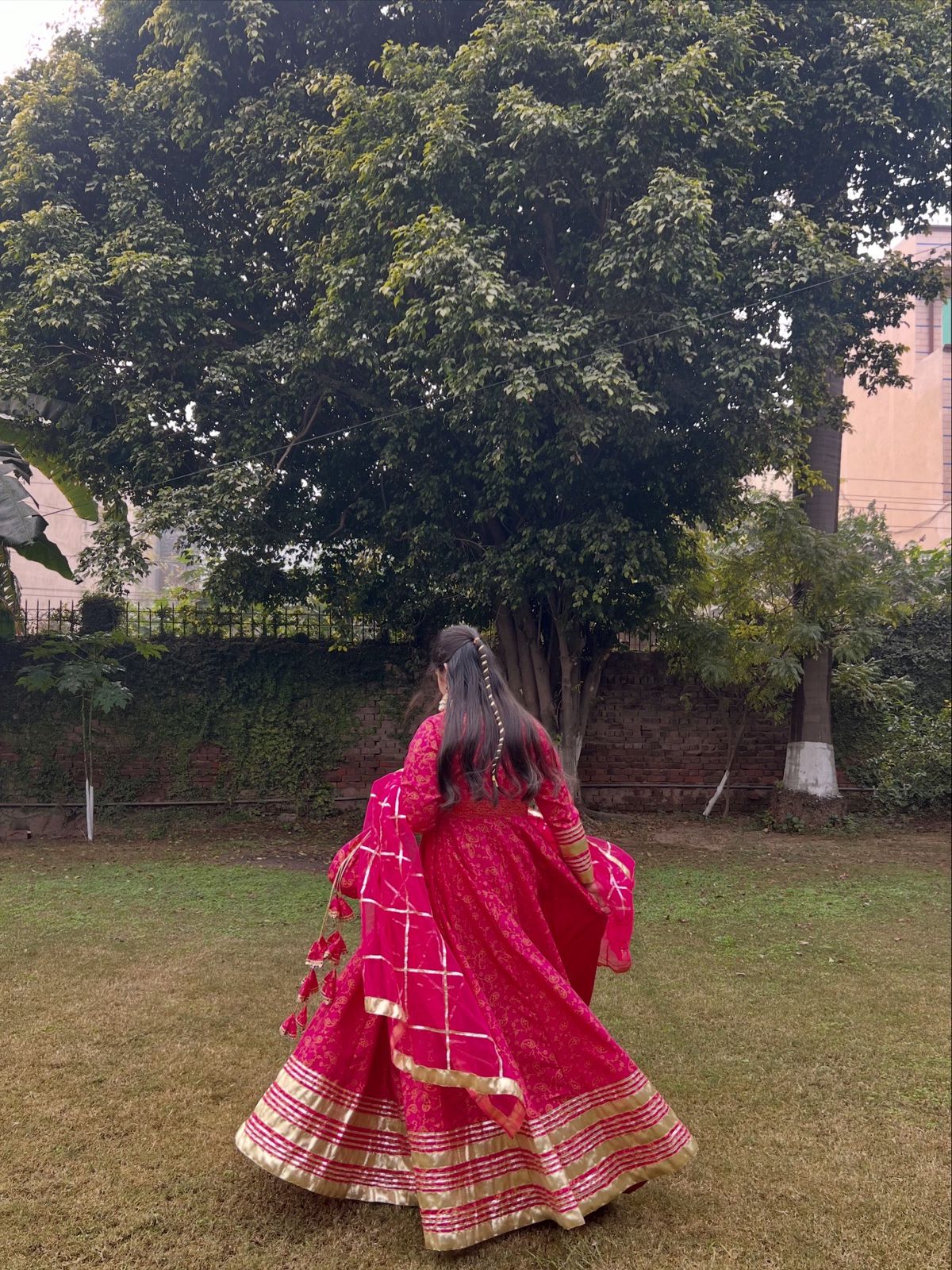 '' GUL E NOOR PNK ''