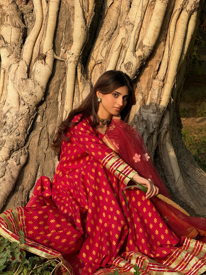 "GUL E SEHAR MAROON"
