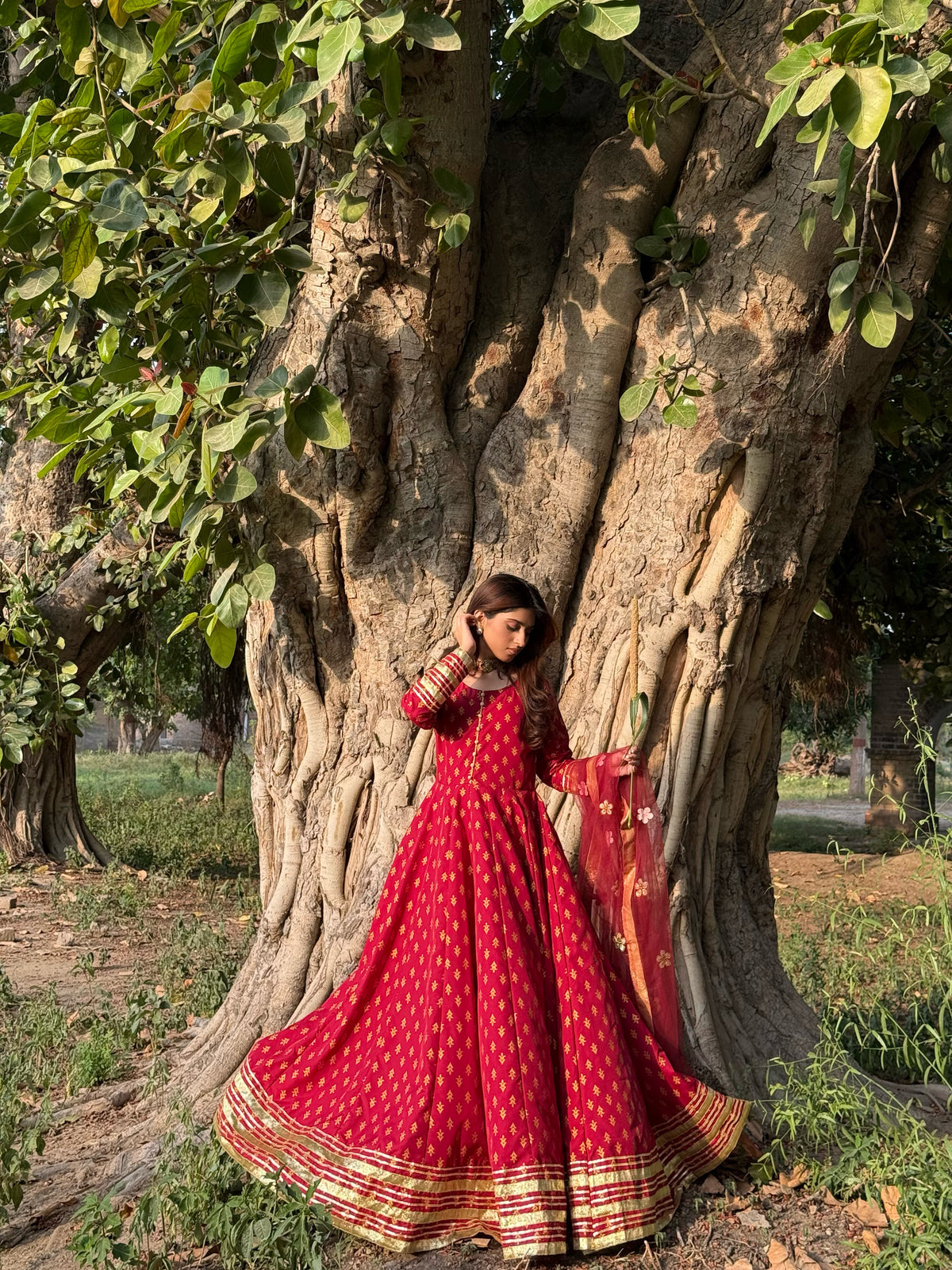 "GUL E SEHAR MAROON"