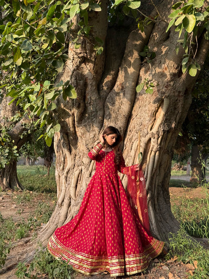 "GUL E SEHAR MAROON"