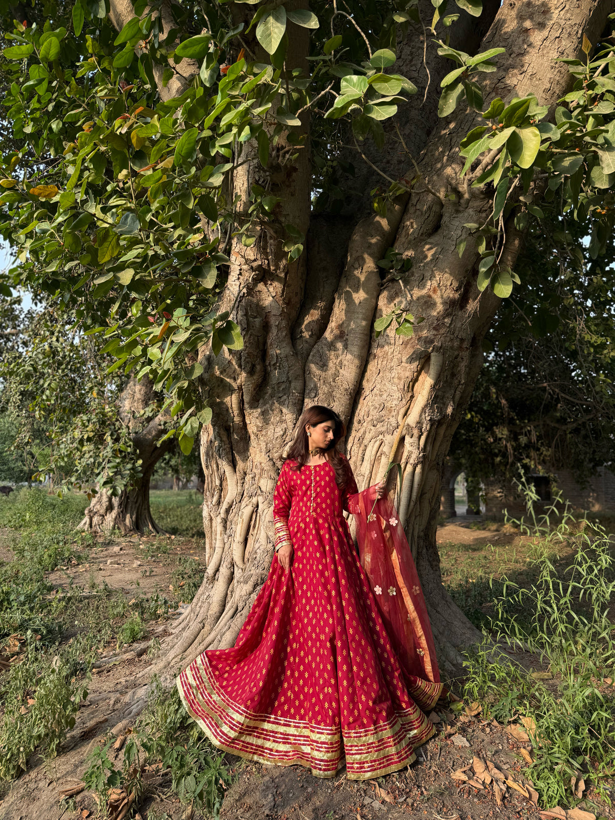 "GUL E SEHAR MAROON"
