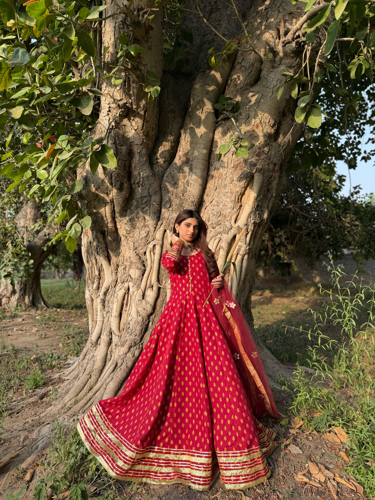 "GUL E SEHAR MAROON"