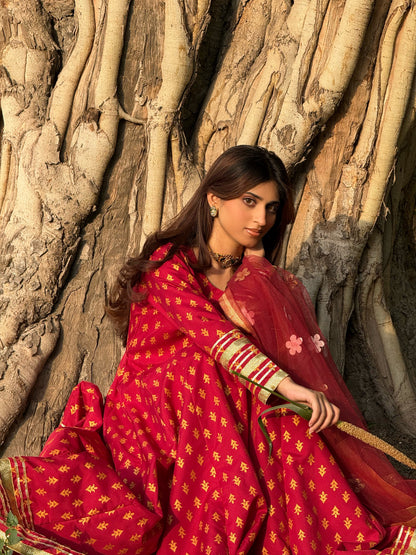"GUL E SEHAR MAROON"